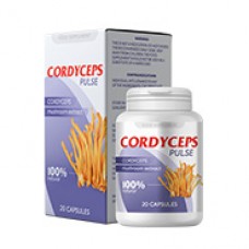 Cordyceps Pulse - hatékonyság